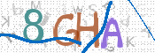 Imamgine CAPTCHA